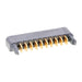 0464379310 by Molex - RA PLUG TEN60 G-10P-G