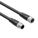 10-03860 by Tensility International Corp - CABLE 8POS FMALE TO MALE 32.8