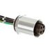 1300660231 by Molex - QC FEM 1/2"" NPT RECPT 4P BL PWR
