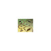 1495575-2 by TE Connectivity - MCK-N1-B-15S6A1-18.0