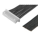 2181121000 by Molex - 10 CIRC PICOBLADE RECP:PIGTAIL 7