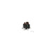 3-2213819-9 by TE Connectivity ALCOSWITCH Switches - 6X6 ILL TACT SMT 260GF LI RED