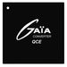 MGDBK25HE by Gaia Converter - DC DC CONVERTER