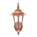 46719 by Maxsa Innovations - BATTERY PLASTIC WALL SCONCE -CPP