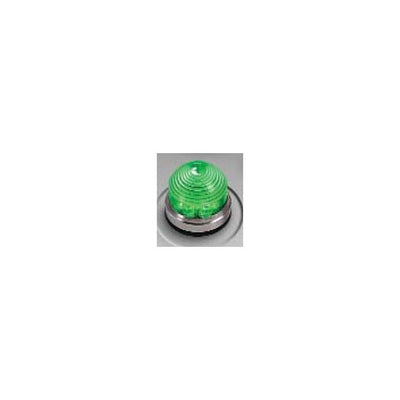556-3207-304F by Dialight - LARGE GRN DOMED PMI 125VDC