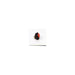 808-0332-500 by Dialight - PRESS TO TEST IND.