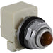 9001KP38A6 by Schneider Electric - PILOT LIGHT 120V 30MM TYPE K +OP