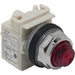 9001KP5R31 by Schneider Electric - PILOT LIGHT 480VAC 30MM TYPE K +
