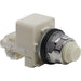 9001KT38LWW31 by Schneider Electric - PILOT LIGHT 120VAC 30MM TYPE K +
