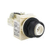 9001SKT35LW by Schneider Electric - PILOT LIGHT 28V 30MM SK +OPTIONS