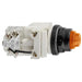 9001SKT35LYA31 by Schneider Electric - PILOT LIGHT 28V 30MM SK +OPTIONS