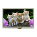 ACN480272A01-4.3N12NSM-R by Orient Display - LCD DISPLAY TFT 4.3"" 480X272