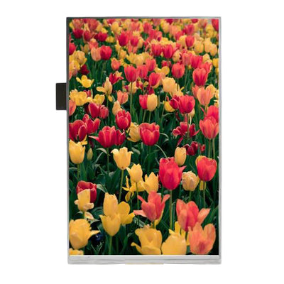 AFC8001280A0-8.0INTM-I by Orient Display - 8'' MIPI IPS TFT, 800x1280