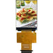 AFY240320A0-2.4N6NTN by Orient Display - 2.4'' TN TFT 240320 220NITS