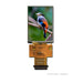 AFY240320B0-2.4N6NTM-R by Orient Display - TFT 2.4"" 240320 MCU/RGB+SPI RTP