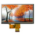AFY800480B1-7.0N12NTM-R by Orient Display - 7.0'' TN TFT W RTP