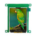 AGU240320A00-2.4N6NSM by Orient Display - 2.4 TN TFT DISPLAY WITH UART IN