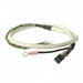 AMT-17C-1-036 by CUI Devices - AMT ENCODER CABLE 17CONDUCTOR