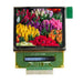 AOC12896A0-1.27W by Orient Display - 1.27'' 128X96 OLED RGB COLOR