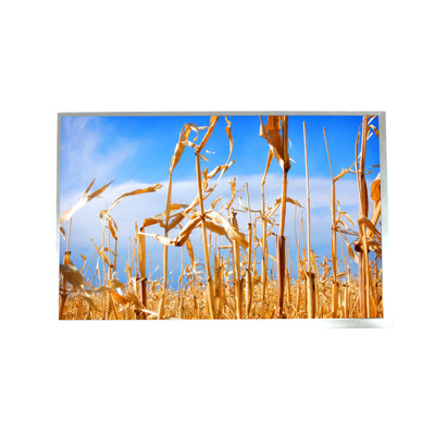 ATM1010L19 by AZ Displays - 10.1"" IPS LCD 1280 X 800
