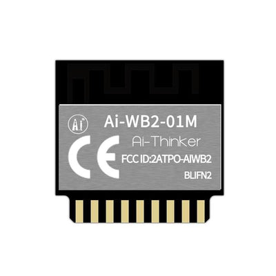 AI-WB2-01M by Ai-Thinker - WIFI + BLE5.0 MODULE, BL602 CHIP