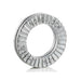 1536 by Nord-Lock - WEDGE LOCKING WASHER, CARBON STE