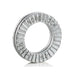 2150 by Nord-Lock - WEDGE LOCKING WASHER, CARBON STE