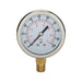 CF1P-007A by Dynamic Fluid Components - DYNAMIC 2-1/2"" DIAL, 100 PSI, FL
