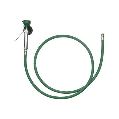 8901B by Haws - WALL-MOUNTED BODY SPRAY 8-FOOT P