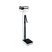 339 by Detecto - EYE LEVEL BEAM PHYSICIAN SCALE 4