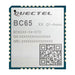 BC65PB-04-STD by Quectel - RF TXRX MOD CELLULAR SMD