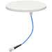 BT512358 by Bolton Technical - The Rondo | Low Profile Dome Bui