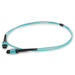 C-MPOMMPOF-2M5OM4S by ProLabs - 2m MPO (Male) to MPO (Female) 12