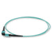 C-MPOMPO-33F5OM4 by ProLabs - 33ft MPO (Female) to MPO (Female