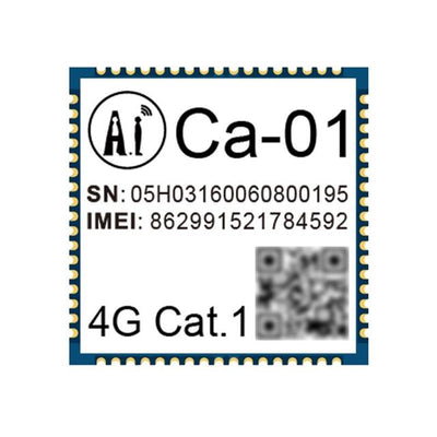 CA-01 by Ai-Thinker - 4G LTE CAT.1 MODULE