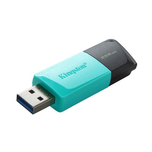 DTXM/256GB by Kingston - USB Flash Drive 256GB