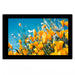 E101RA-HS500-C by Focus LCDs - 10.1"" TFT IPS HDMI CAPACITIVE