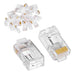 EBL-CAT6-100PCS by Sanoxy - SANOXY Electornic Cables