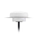 G24.A.W.305111 by Taoglas Limited - RF ANT 850/900MHZ DOME SMA MALE