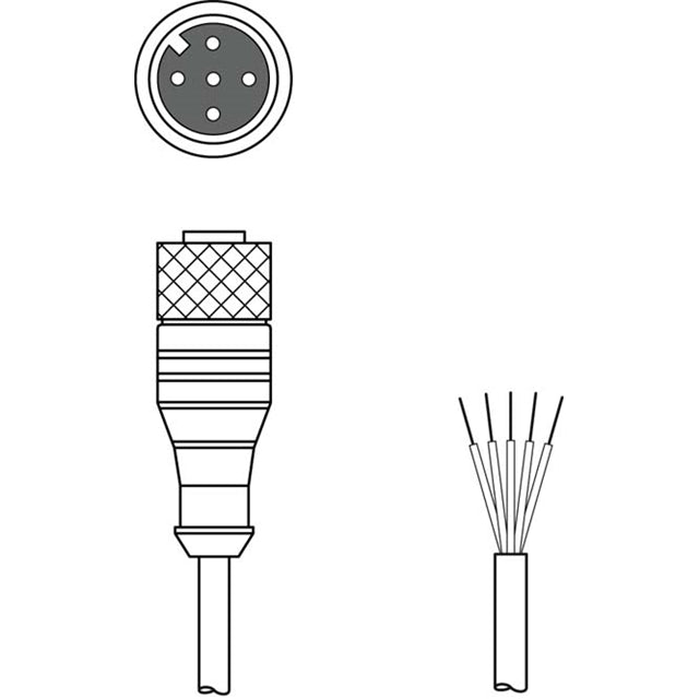 KD S-M12-5A-P1-100 by Leuze - CONNECTION CABLE