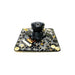 MCY-1360 by Midas Touch, Inc. - CMOS CAM MODULE 360 DEG PANORAMI