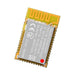 MDBT42Q-PATL2 by Raytac - Raytac AT CMD PCB Antenna Module