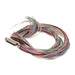 MDM-31PH006F-A174 by ITT Cannon, LLC - CABLE ASY D TO WIRE 31P 914.4MM