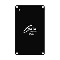 MGDSK100MF by Gaia Converter - DC DC CONVERTER