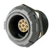 MMI-P1SRG08PGG by Adam Tech - CONNECTOR RECPT FMALE 8POS GOLD SLDR