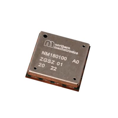 NM180100 by Northern Mechatronics Inc. - LORA BLE APOLLO 3 SX1262 MODULE