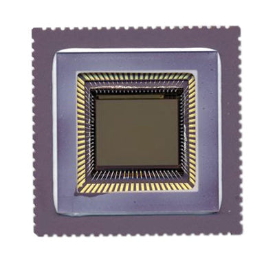 NOII4SM1300A-QWC by onsemi - SENSOR IMAGE MONO CMOS 84-LCC