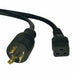 P040-010 by Tripp Lite - CORD 12AWG NEMA L6-20P - C19 10