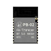 PB-02 by Ai-Thinker - BLUETOOTH MODULE, BLE5.0 MODULE