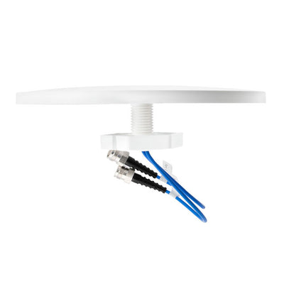 PE51227 by Pasternack - 1.5-6 DBI MIMO OMNI 2 N (F)